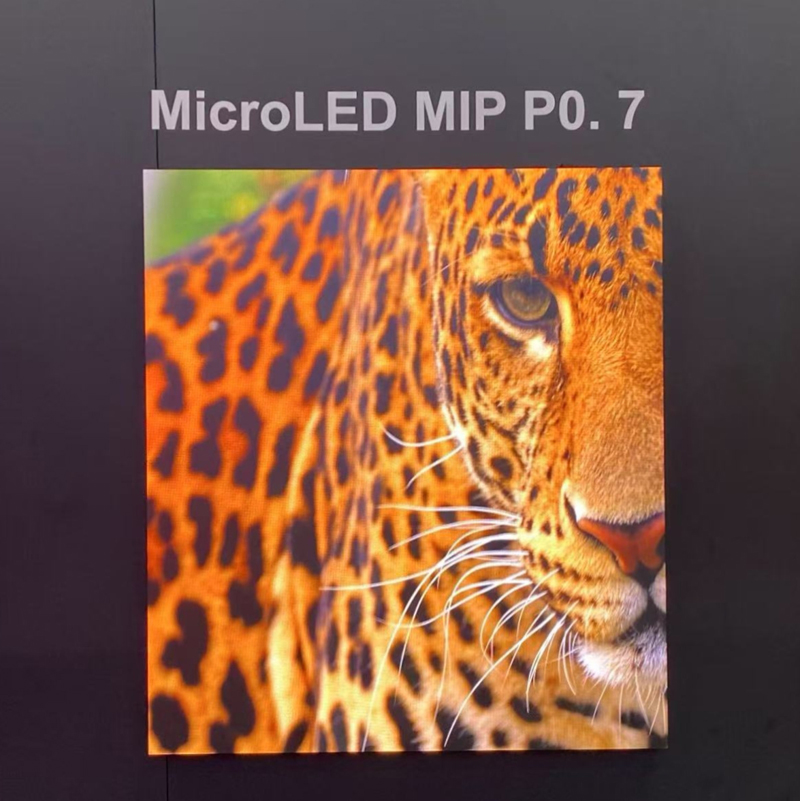 6895ace4372de.jpg 9.jpg